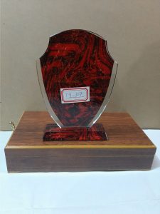 Award plaque TY107