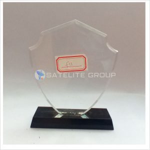 F11 ACRYLIC AWARD