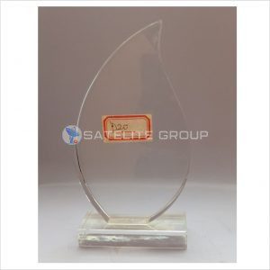 d20 glass award