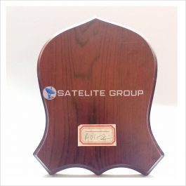a10-2 wood award