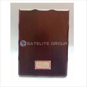 A02 WOOD AWARD
