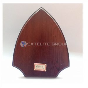A10-2 WOOD AWARD