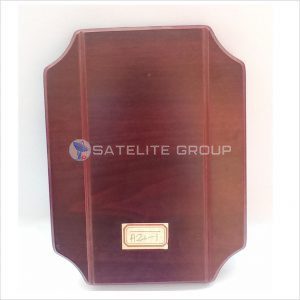A21-1 WOOD AWARD