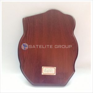 A24 WOOD AWARD