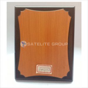 FA2-2 WOOD AWARD