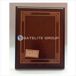 FA7-1 WOOD AWARD