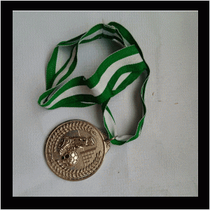 5-2 silver marathon medal