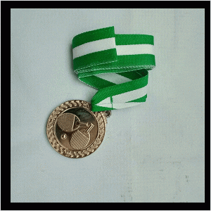 6-2 silver tennis medal