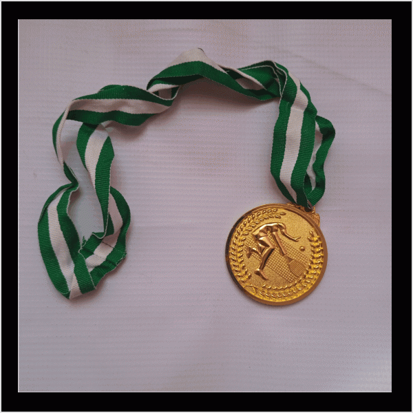 8-1 gold medal