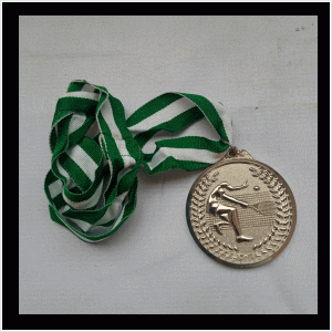 8-2 silver medal