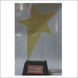 c488-a glass award