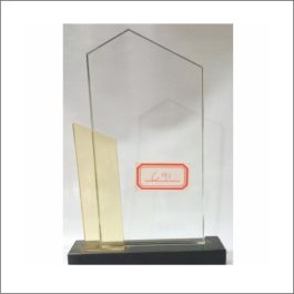 c91 glass award