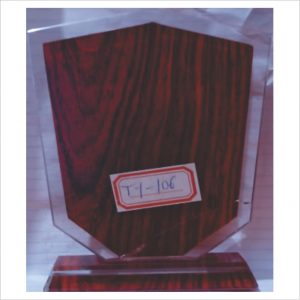 TY 106 GLASS AWARD