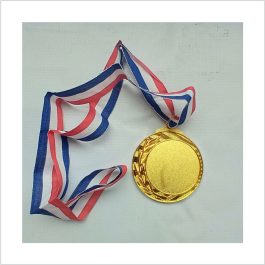 c13 medal