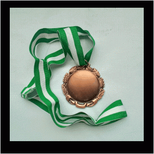 c16 bronze medal