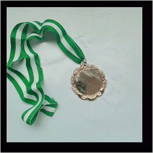 c16 silver medal