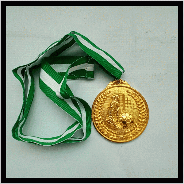 c26 medal