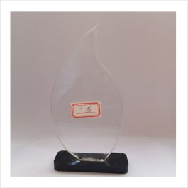 f15 acrylic award
