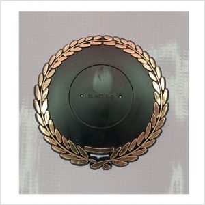 M18 Medallion